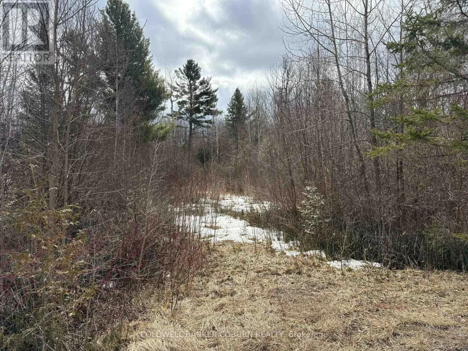 2035 Ventnor Road, Edwardsburgh/Cardinal, Ontario K0E 1X0