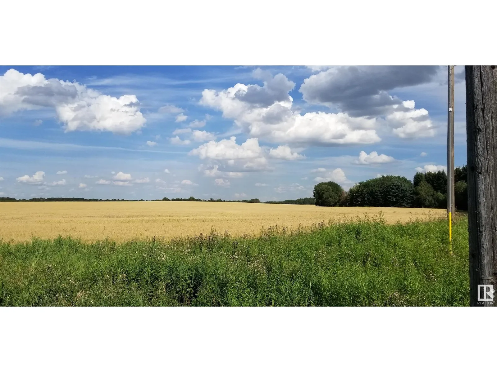 No Building for rent: 20375 18 St Nw, Edmonton, Alberta T5Y 6B7