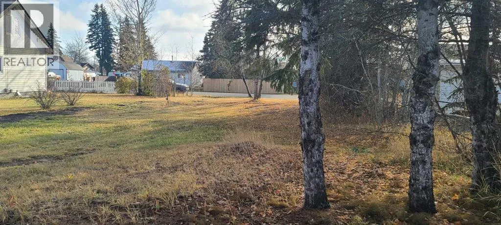 208 3 Ave Ne, McLennan, Alberta T0H 2L0