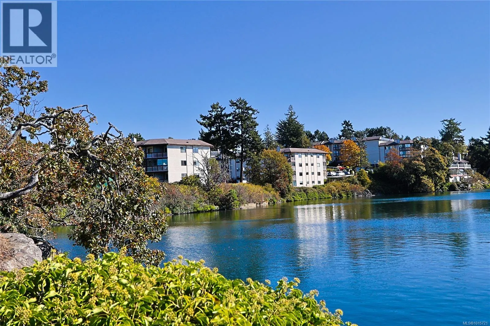 Apartment for rent: 208 69 Gorge Rd W, Saanich, British Columbia V9A 1L9