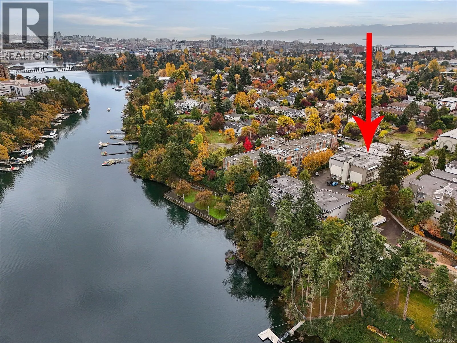 Apartment for rent: 208 955 Dingley Dell, Esquimalt, British Columbia V9A 5R6