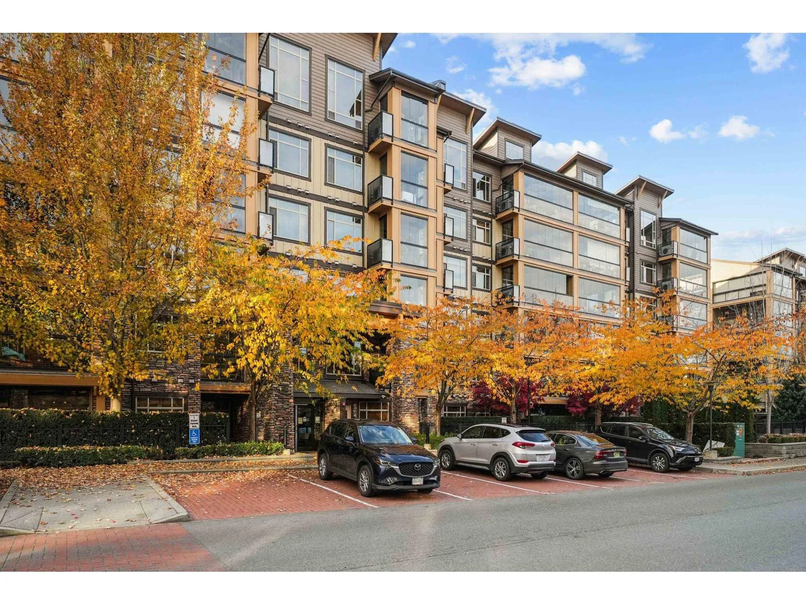 Apartment for rent: 209 8067 207 Street, Langley, British Columbia V2Y 0N9