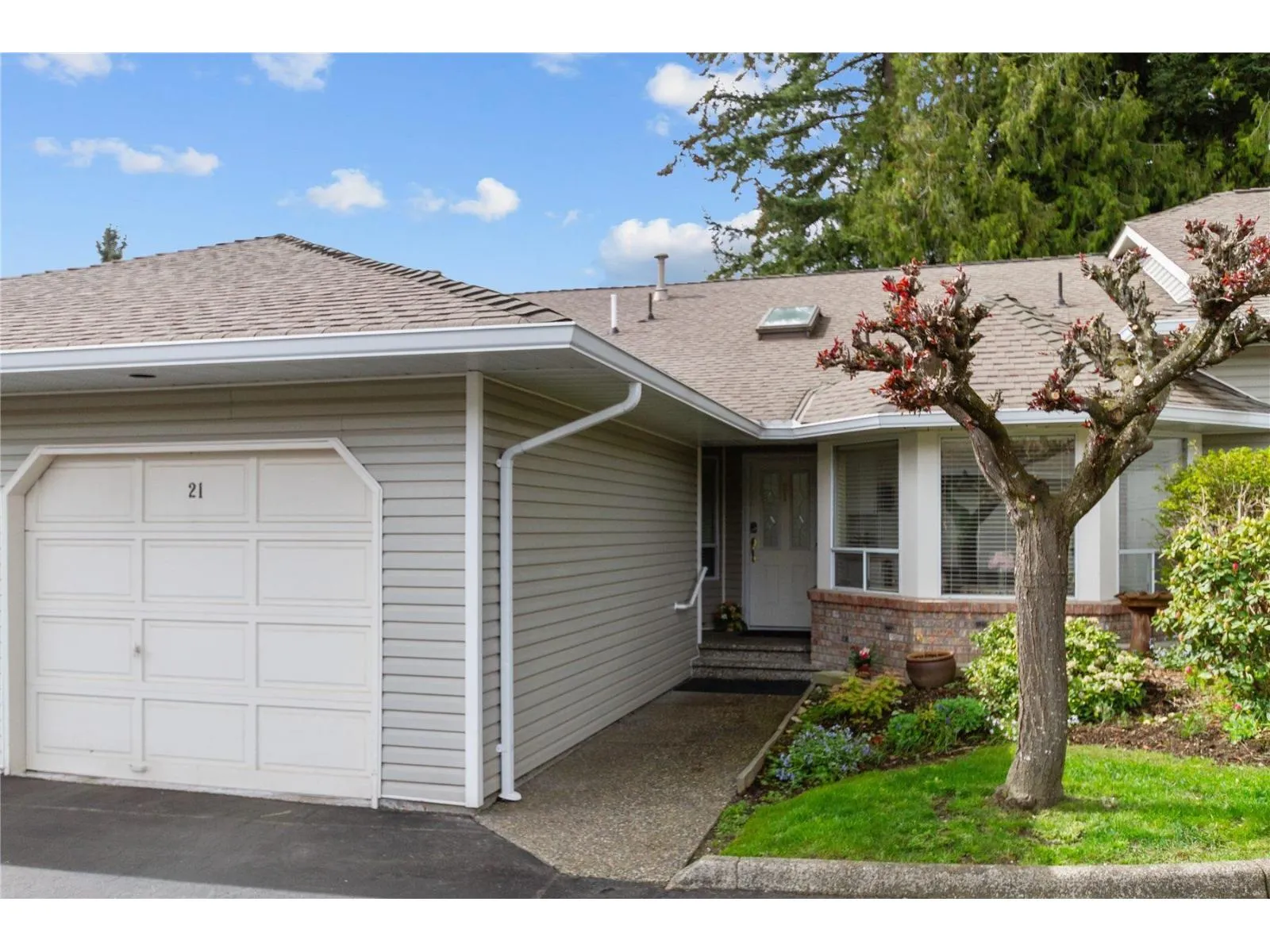 Row / Townhouse for rent: 21 32615 Murray Avenue, Abbotsford, British Columbia V2T 4T8