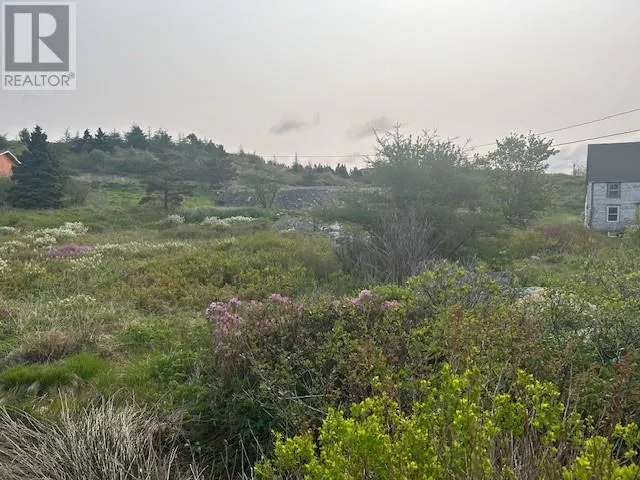 21 Front Road, Renews, Newfoundland & Labrador A0A 3N0