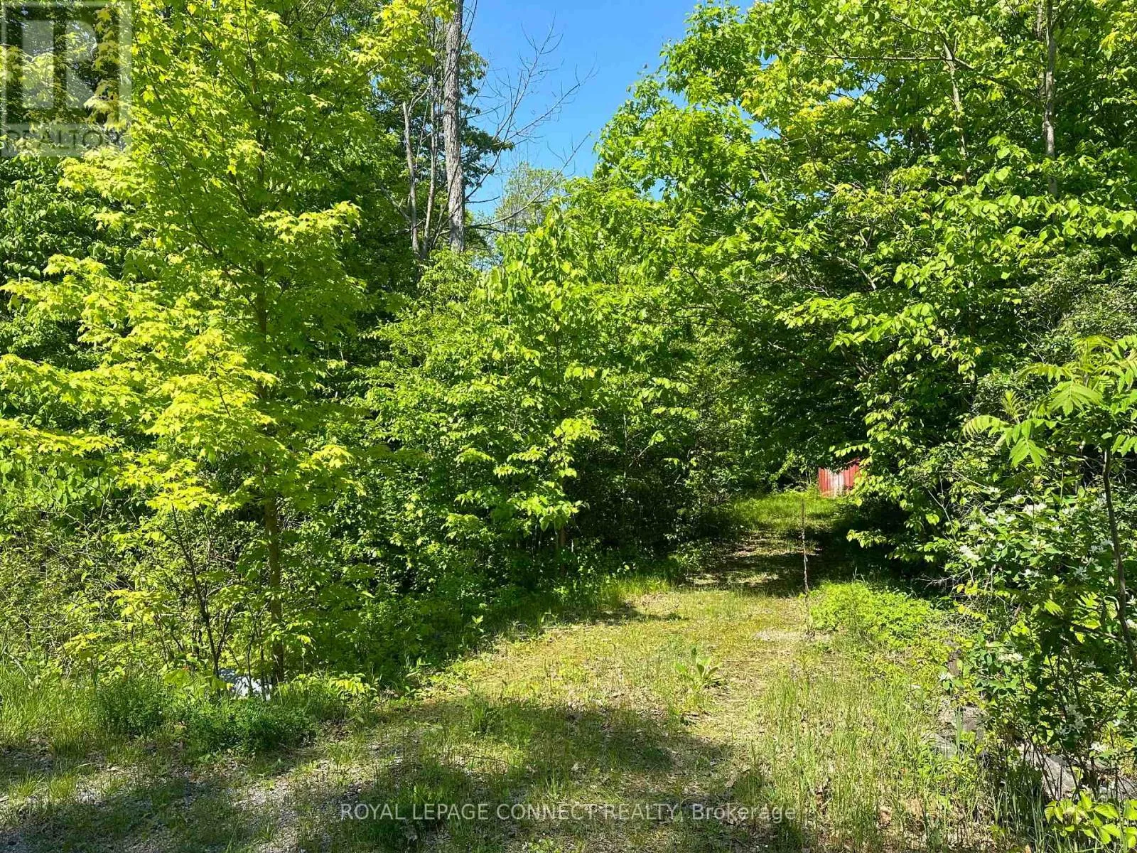 21 Riverside Drive, Trent Hills, Ontario K0L 1L0