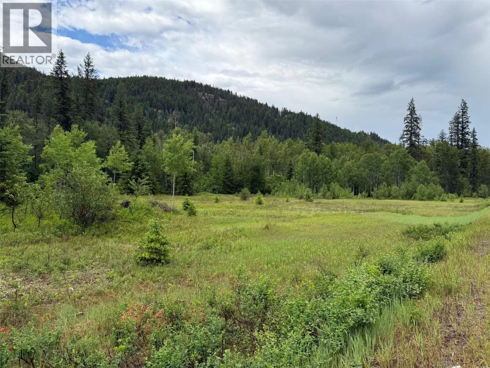 Other for rent: 2128 Blackwater Road, Clearwater, British Columbia V0E 1N0