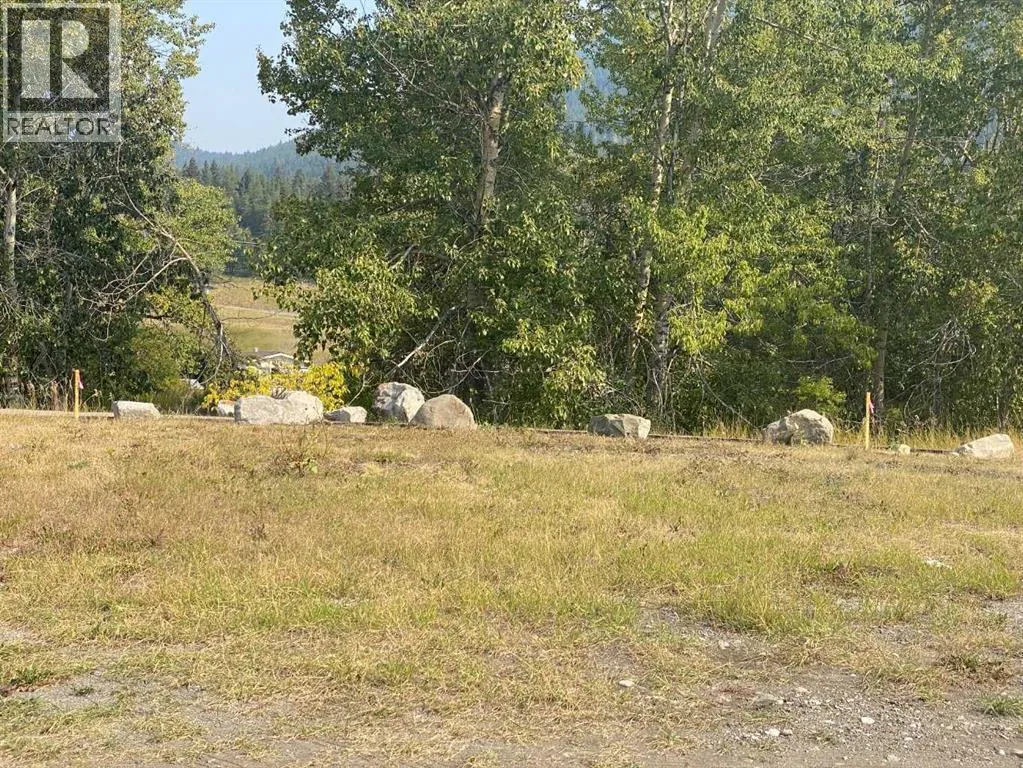 2131 (unit 1) 128 Street, Blairmore, Alberta T0K 0E0