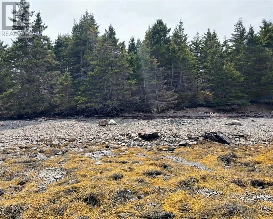 213a Creston Boulevard, Marystown, Newfoundland & Labrador A0E 2M0