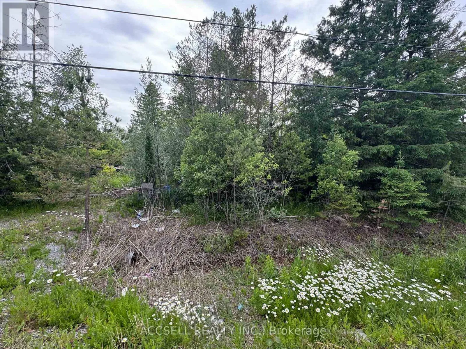 21416 48 Highway, East Gwillimbury, Ontario L0G 1M0