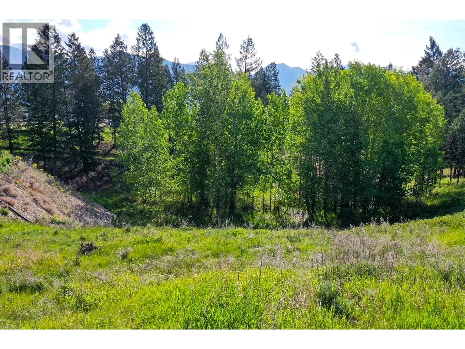 Other for rent: 2161 Pinetree Place, Invermere, British Columbia V0A 1K4