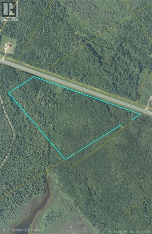 21.7 Acre Route 113, Inkerman, New Brunswick E8P 1E2