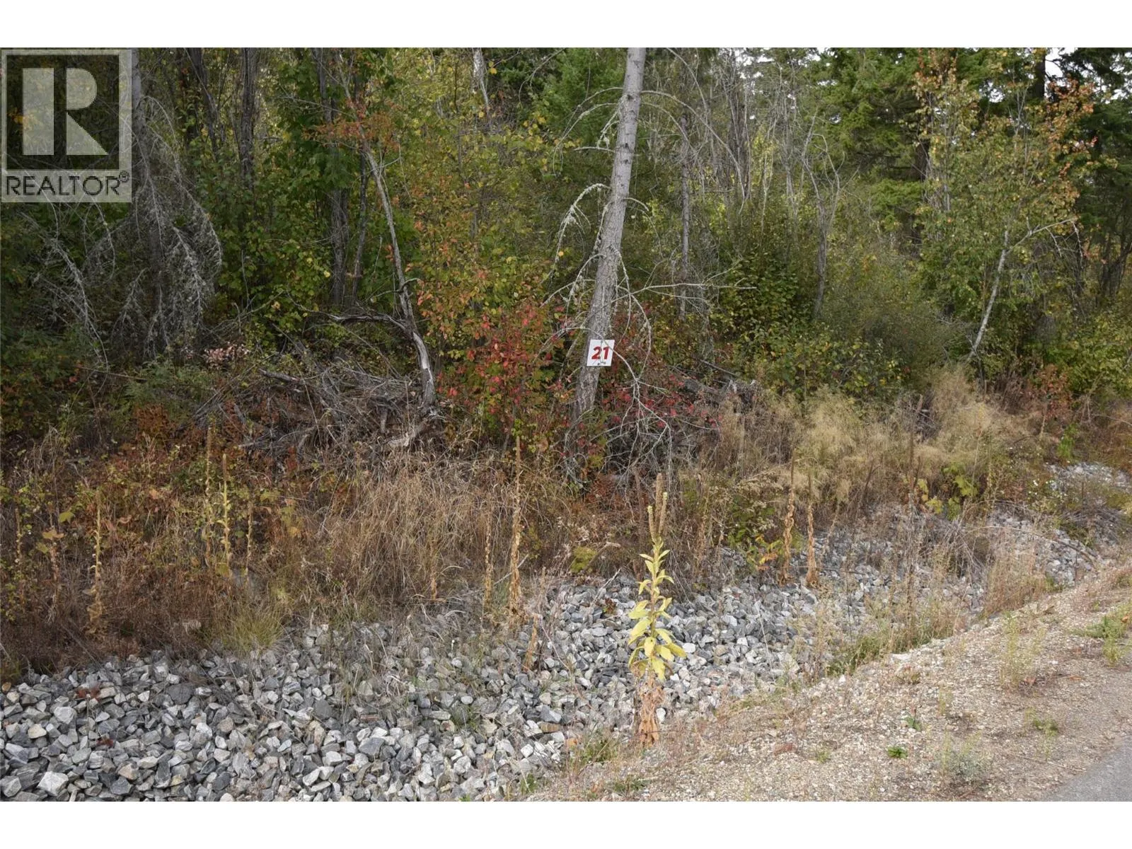 Other for rent: 222 Crooked Pine Road, Enderby, British Columbia V0E 1V1