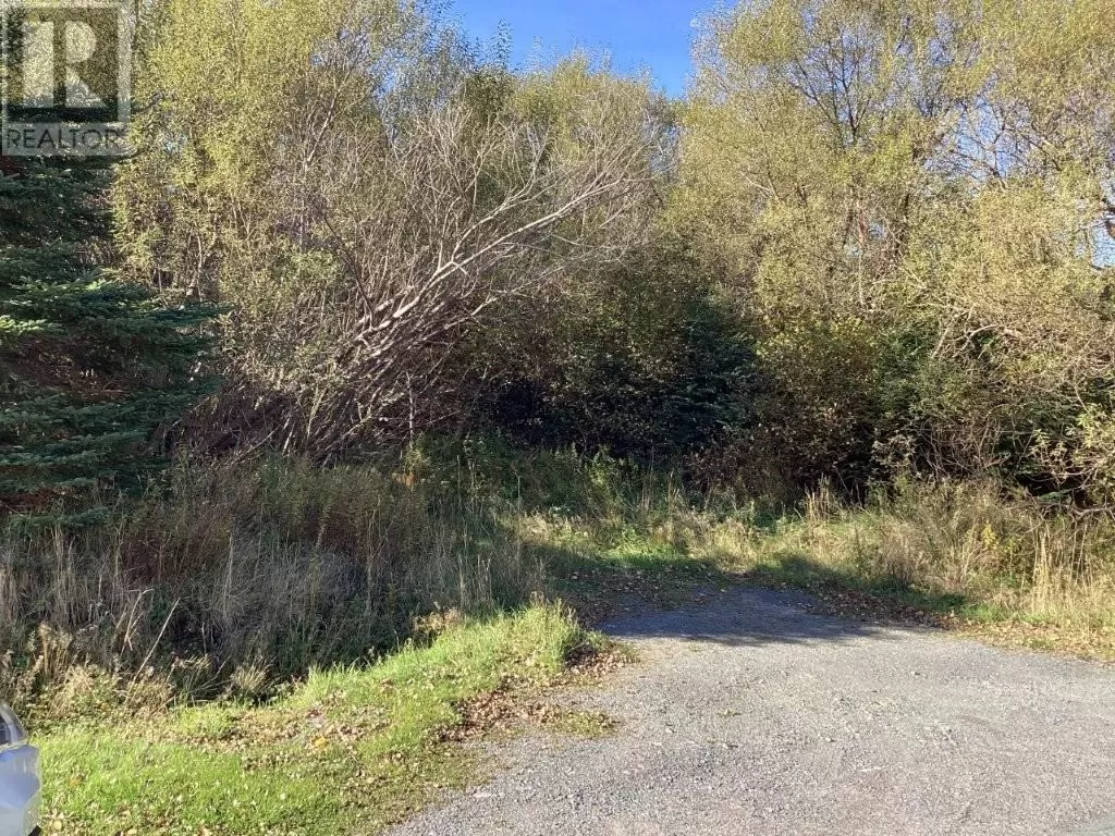 22-28 Parson's Road, Harbour Grace, Newfoundland & Labrador A0A 2N0