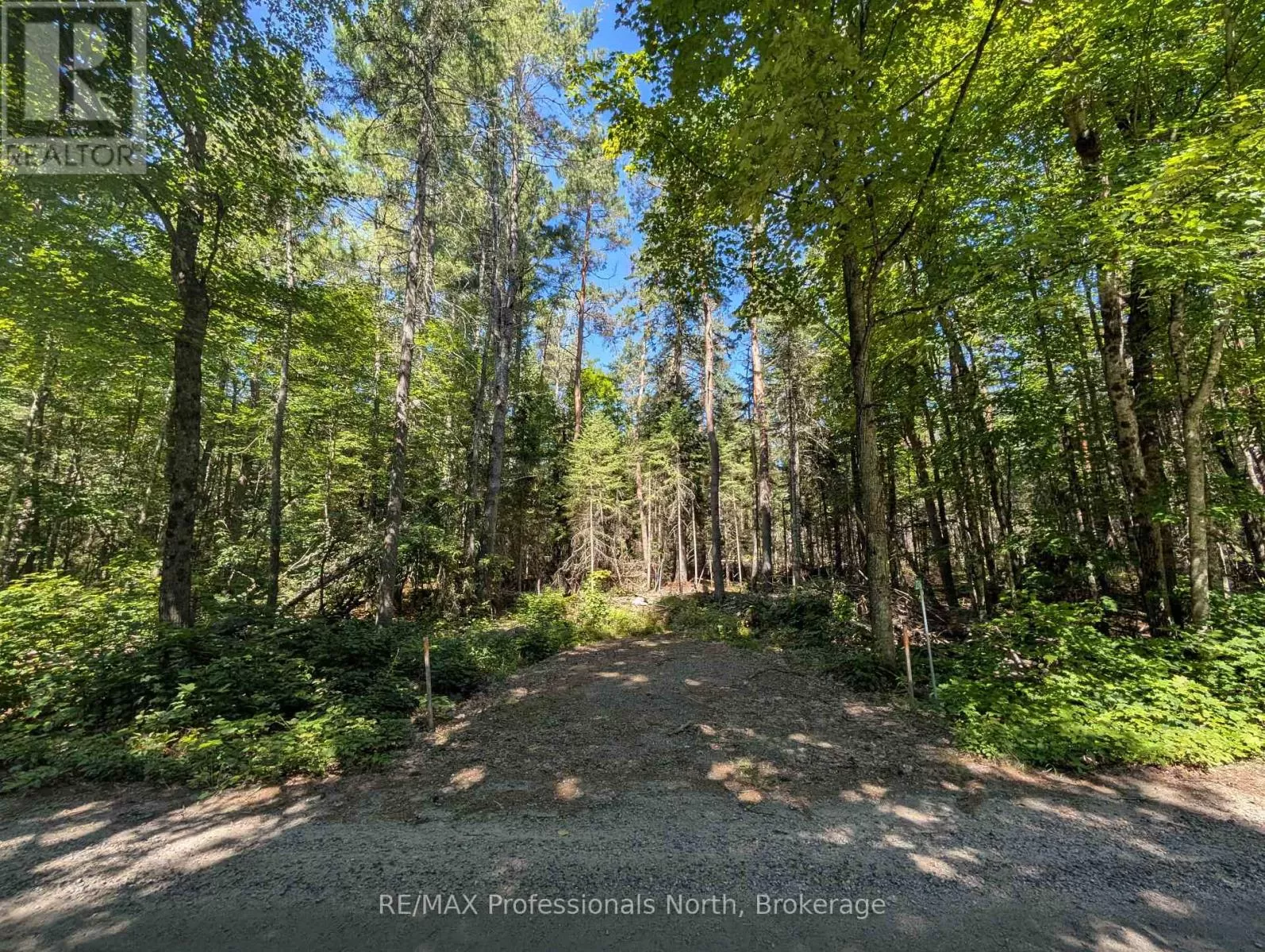 2246 Yearley Road, McMurrich/Monteith, Ontario P0A 1Y0