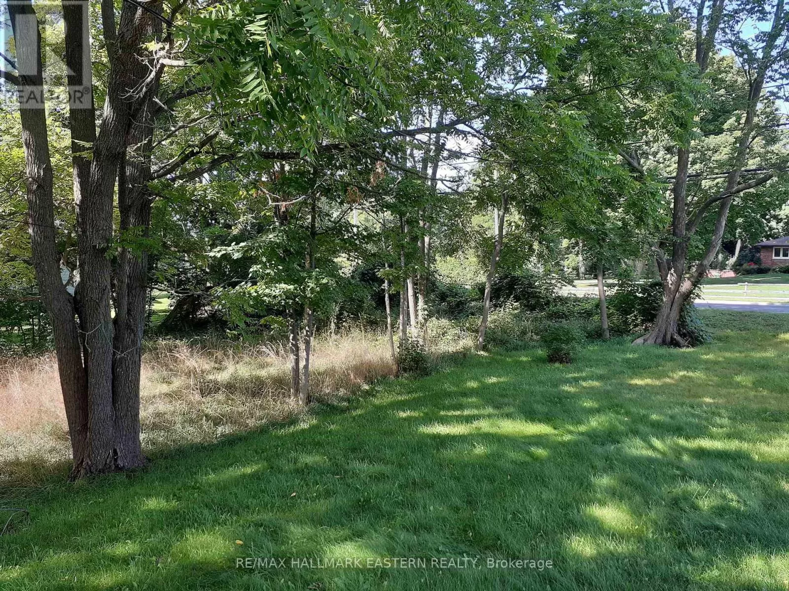 227 A Queen Street, Selwyn, Ontario K0L 2H0