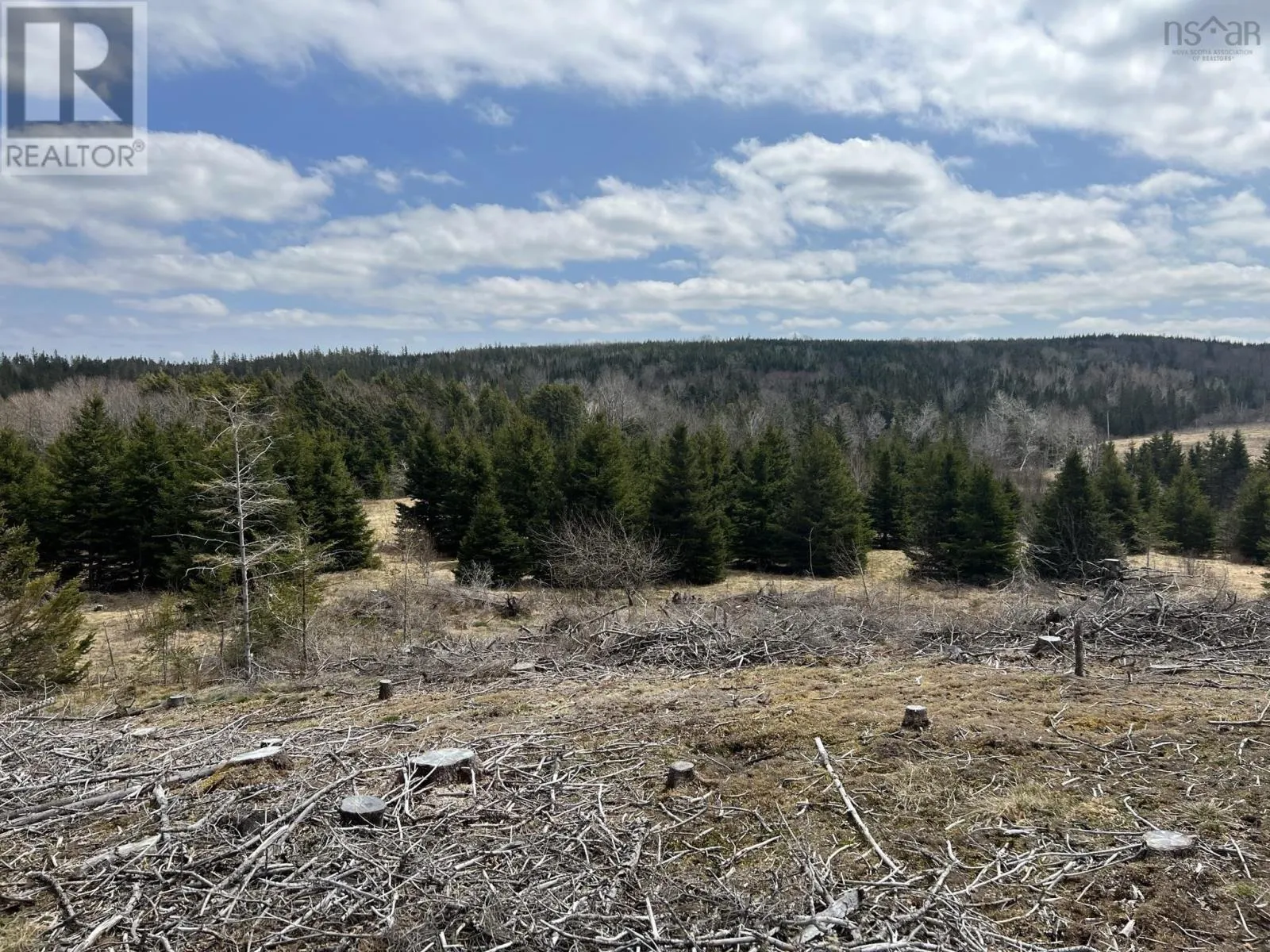 229 Lairg Road, New Lairg, Nova Scotia B0K 2A0