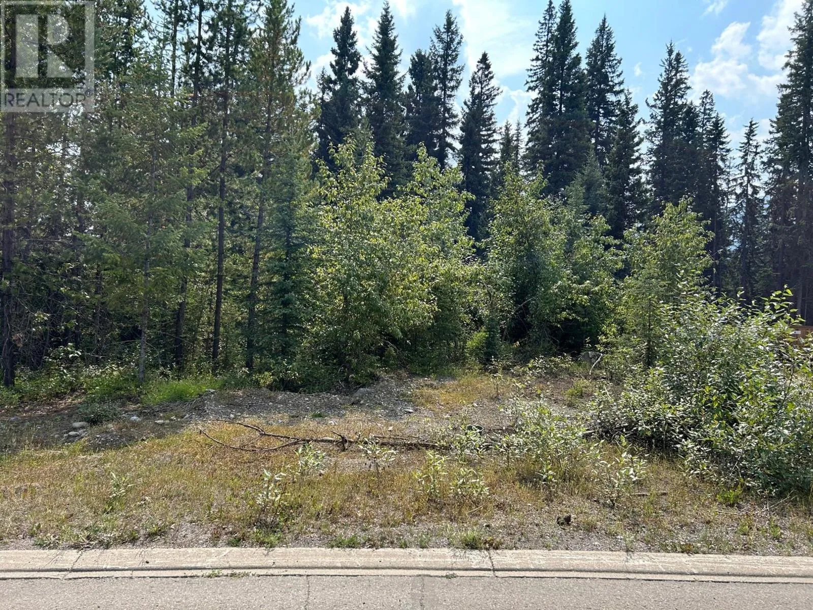 Other for rent: 23 Douglas Crescent, Elkford, British Columbia V0B 1H0