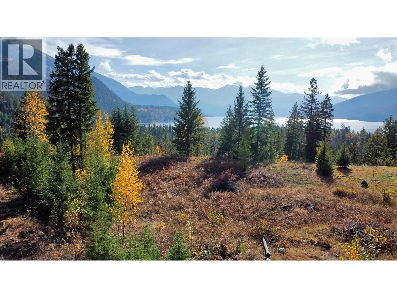 Other for rent: 235 Fullmoon Road, Rosebery, British Columbia V0G 1S1