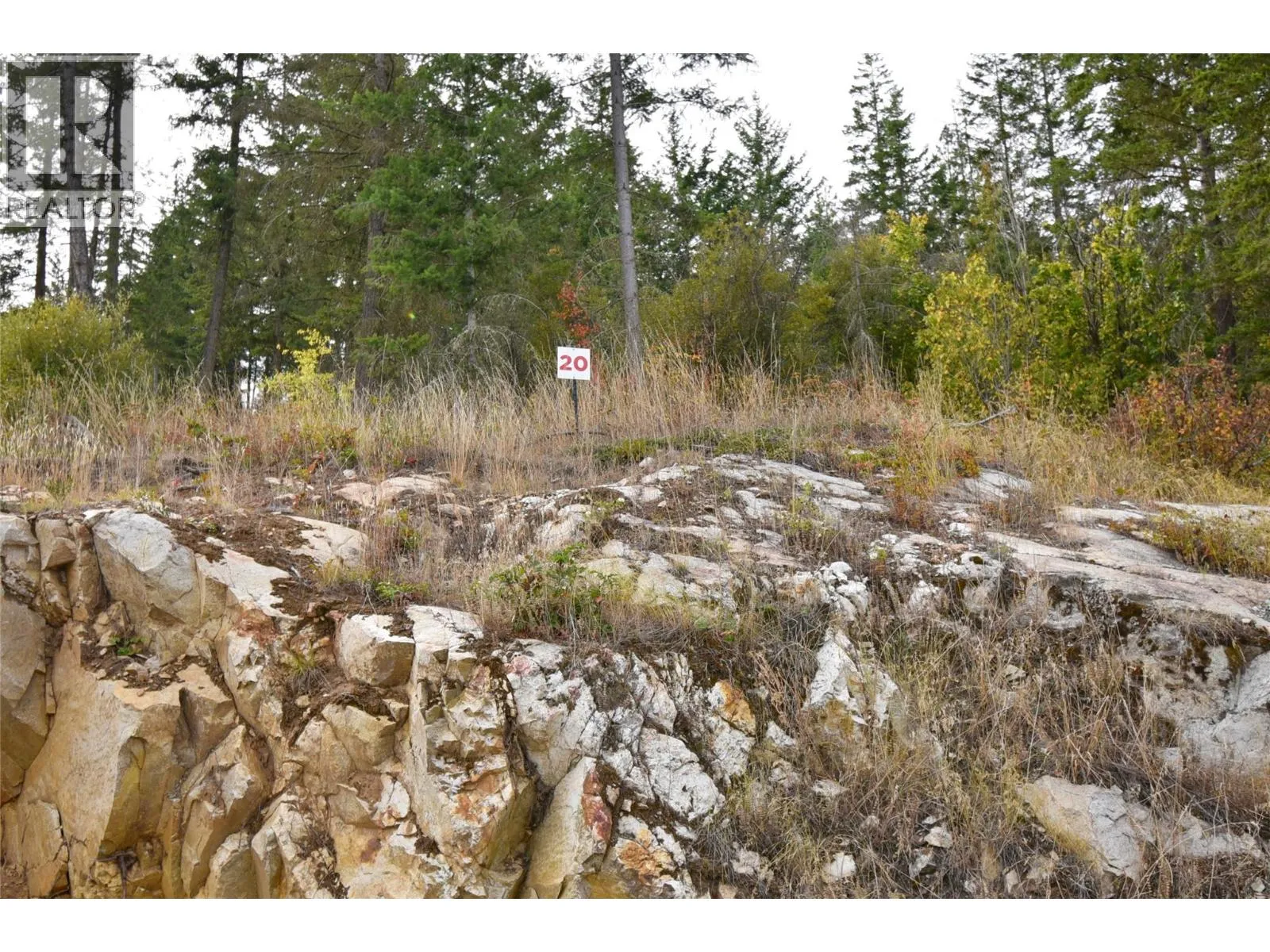 Other for rent: 236 Crooked Pine Road, Enderby, British Columbia V0E 1V1