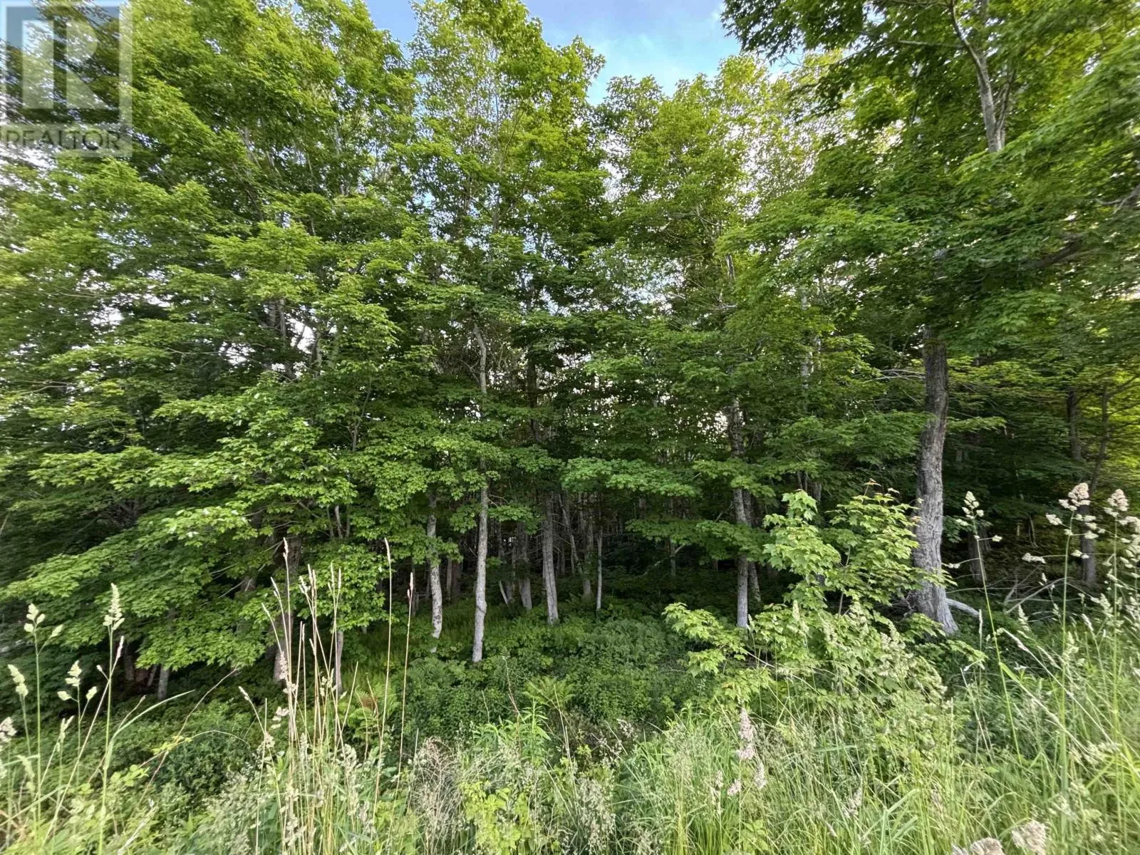 24 Parkland Place, Dalem Lake, Nova Scotia B1Y 2X9