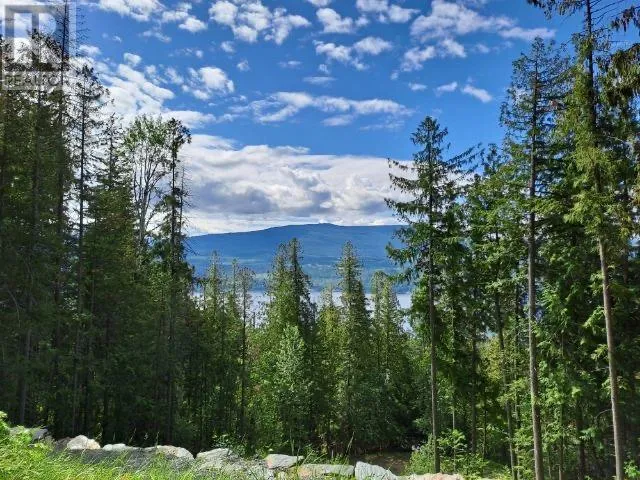 Other for rent: 24 Vickers Trail, Anglemont, British Columbia V0E 1M8