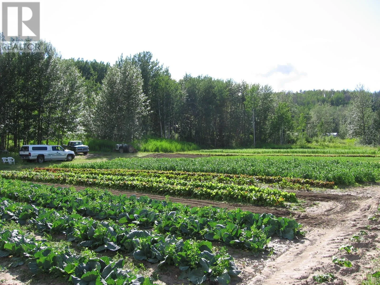 Other for rent: 240 Riley Crossing Road, Dawson Creek, British Columbia V1G 4E8