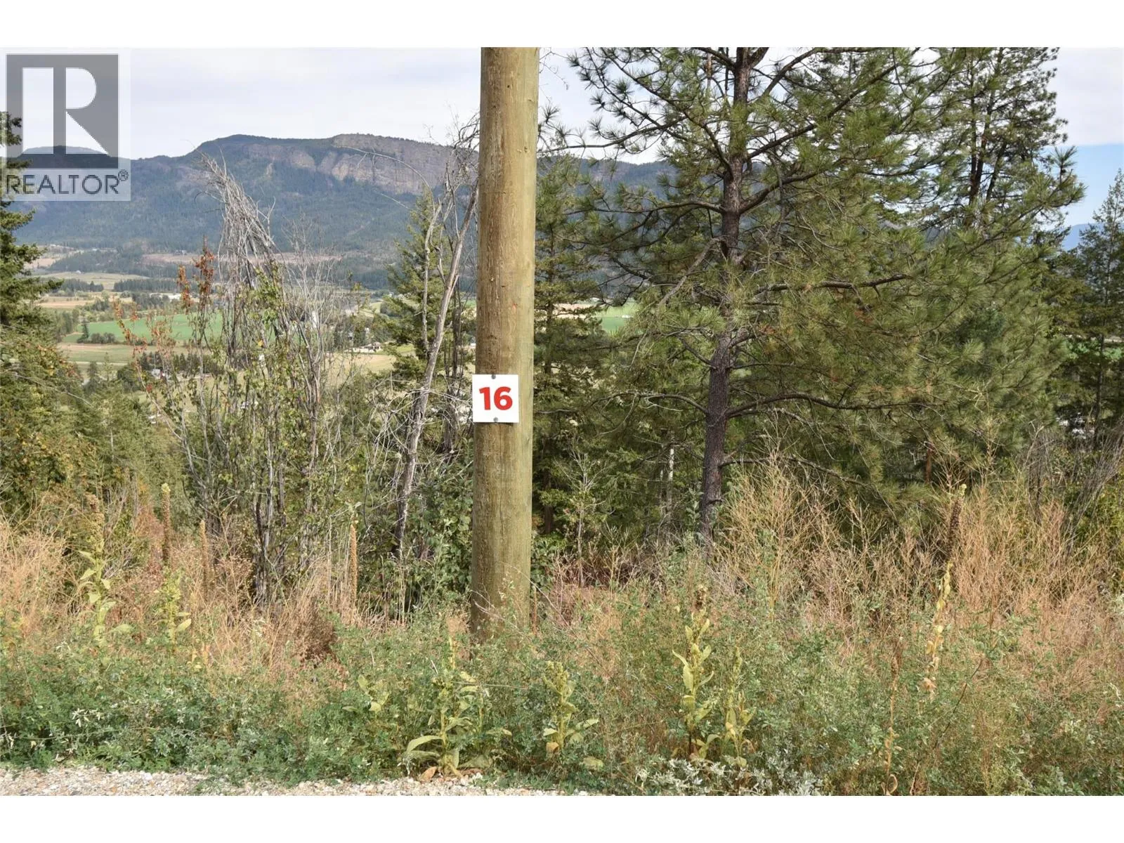 Other for rent: 243 Crooked Pine Road, Enderby, British Columbia V0E 1V1