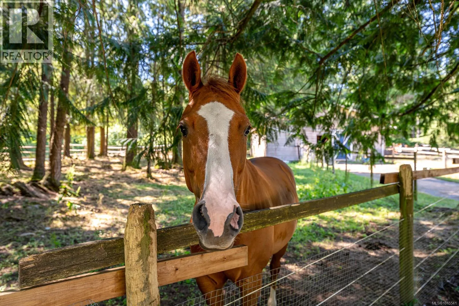 House for rent: 2468 Endall Rd, Black Creek, British Columbia V0R 1C0