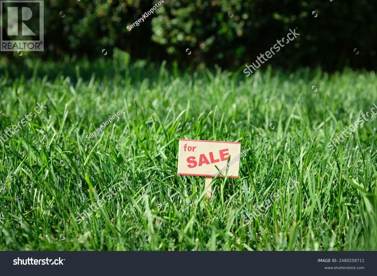 24688 110th Avenue, Maple Ridge, British Columbia V2W 1G7