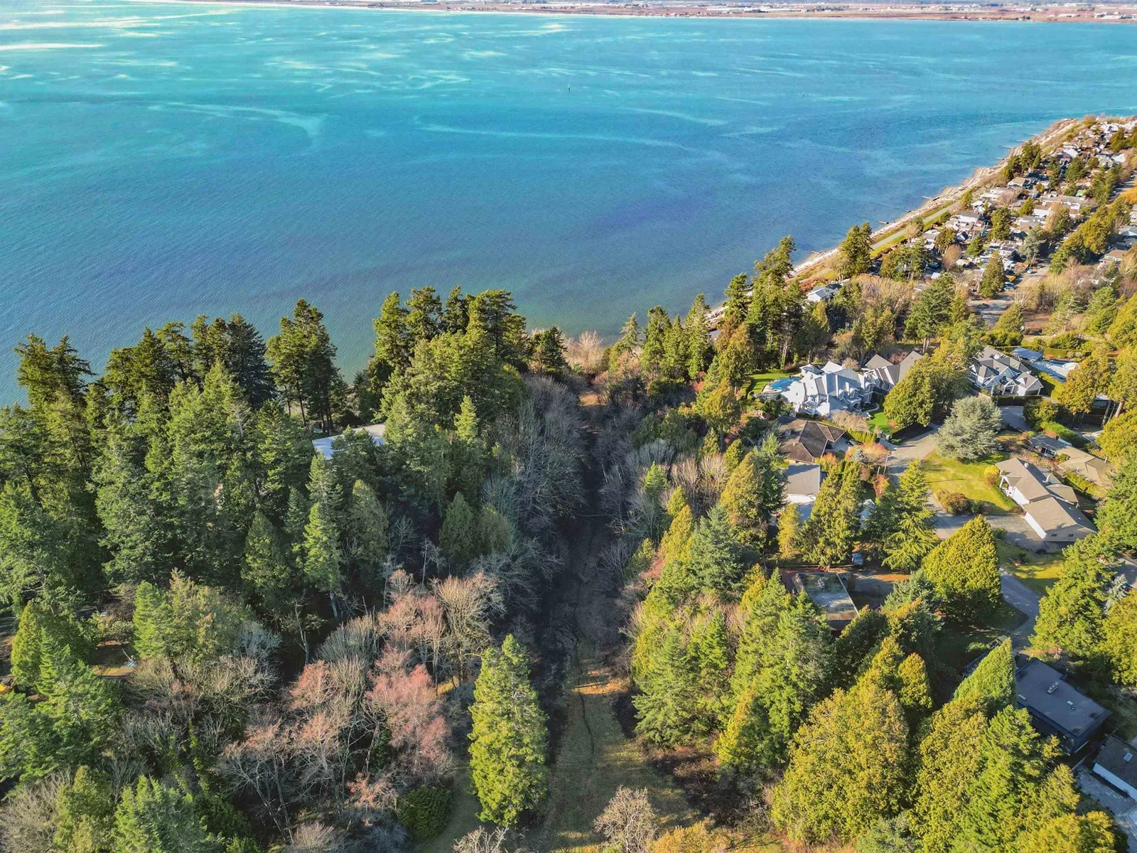 2489 123a Street, Surrey, British Columbia V4A 6M7