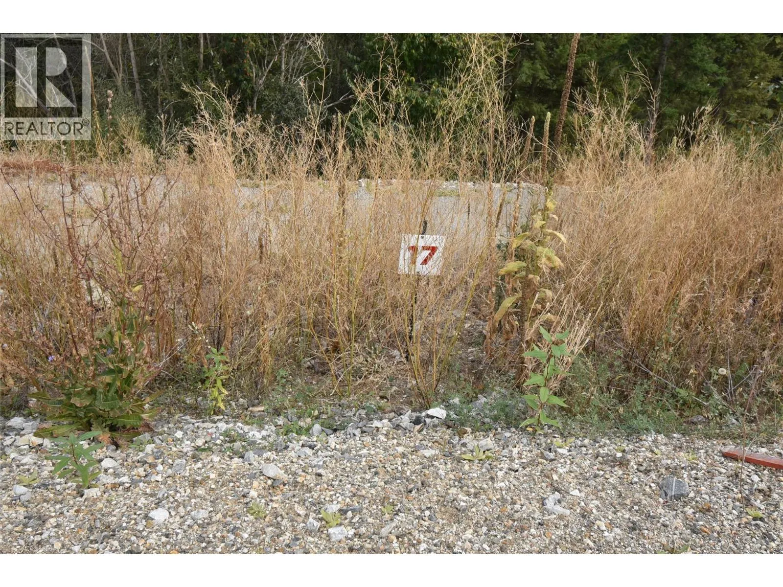 Other for rent: 249 Crooked Pine Road, Enderby, British Columbia V0E 1V1