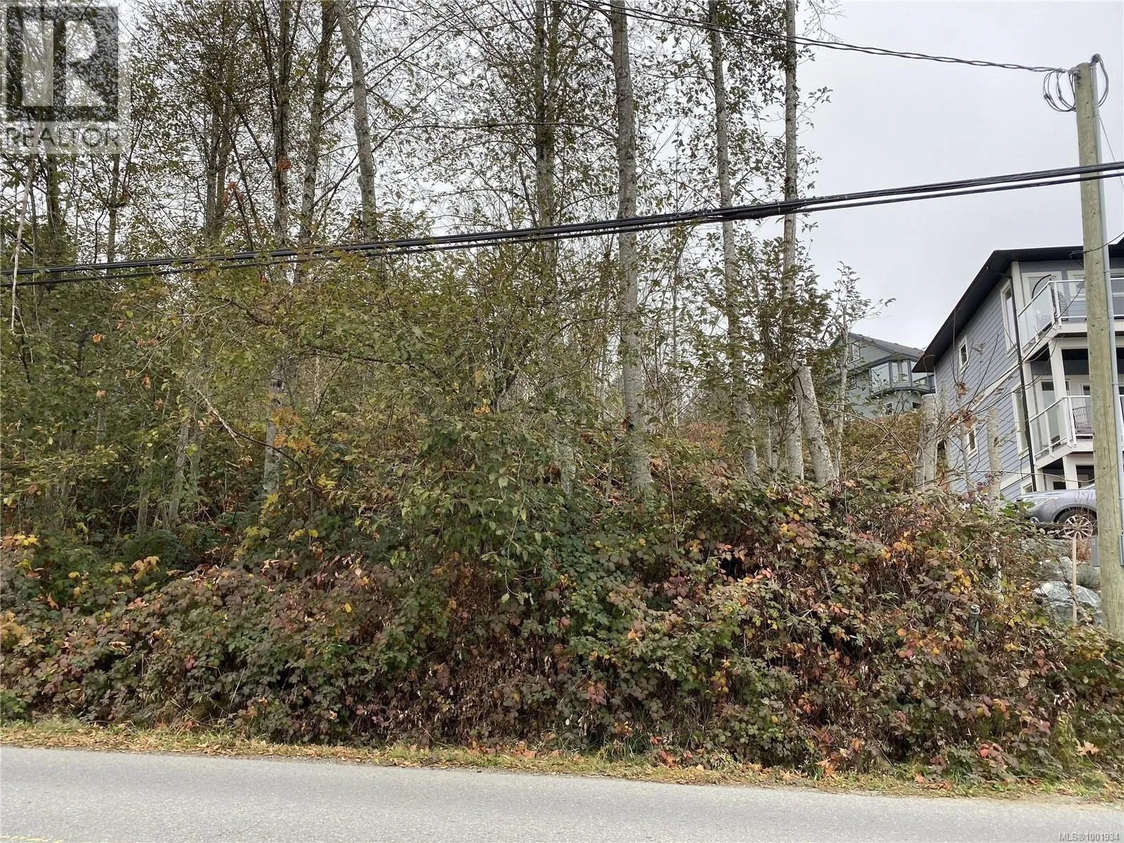 249 North Shore Rd, Lake Cowichan, British Columbia V0R 2G1