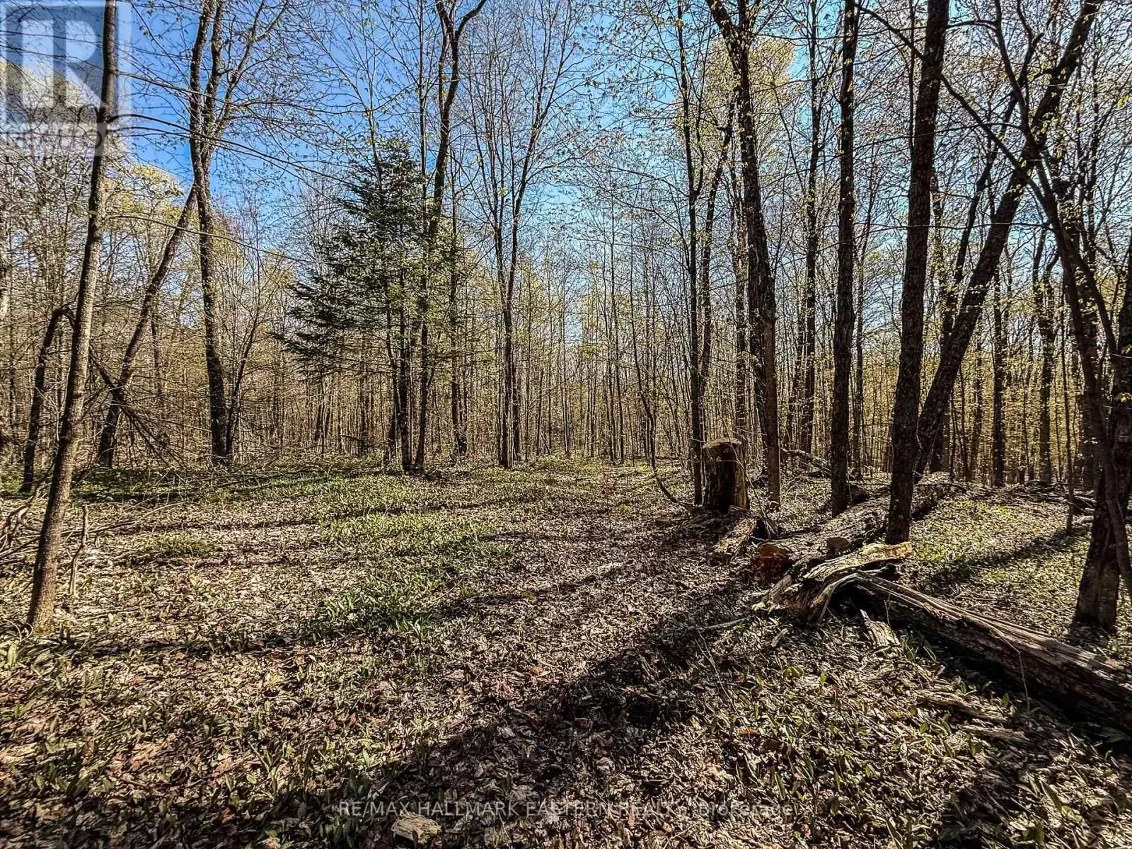 2494 Hadlington Road, Highlands East, Ontario K0L 3K0