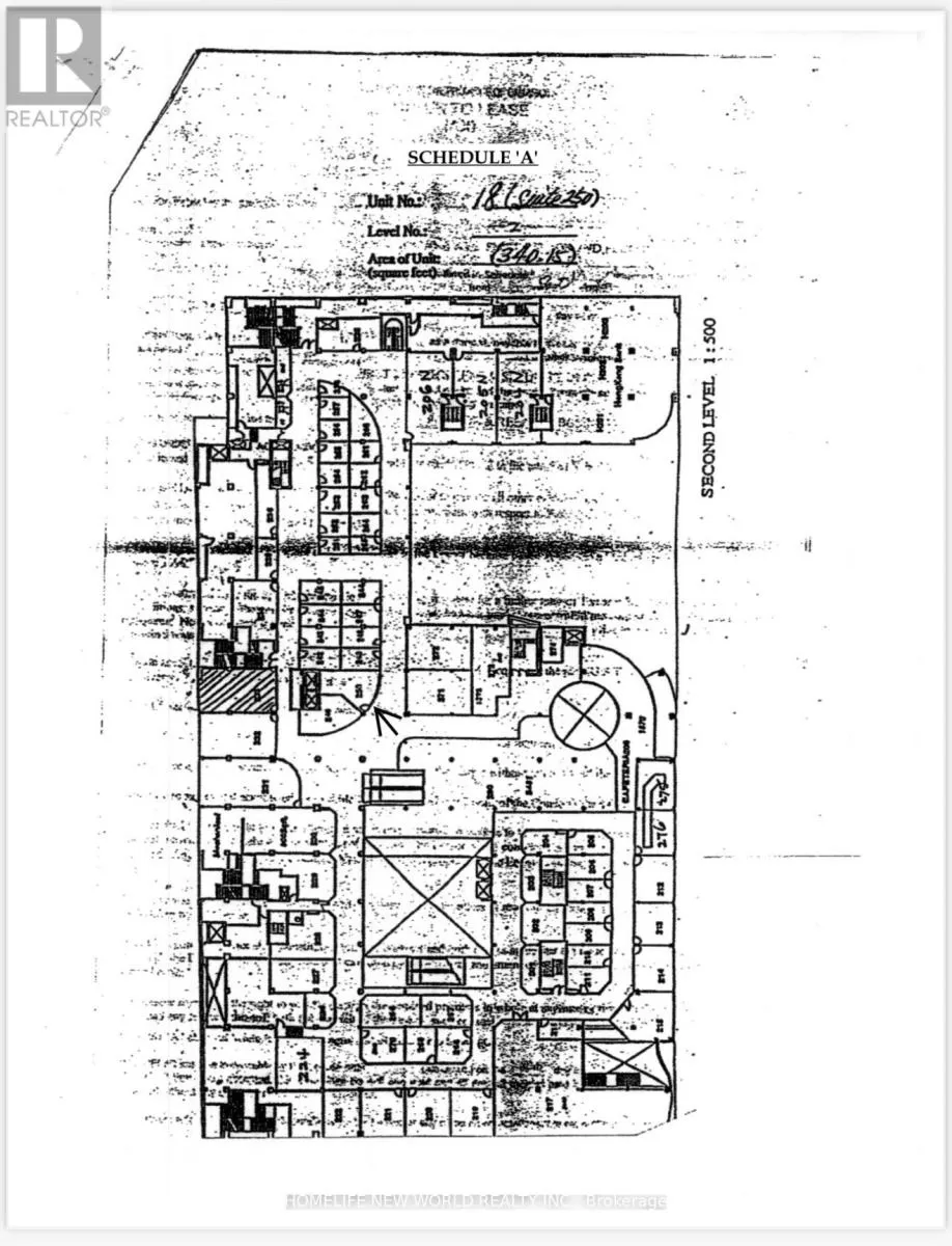 250 - 222 Spadina Avenue, Toronto, Ontario M5T 3A2