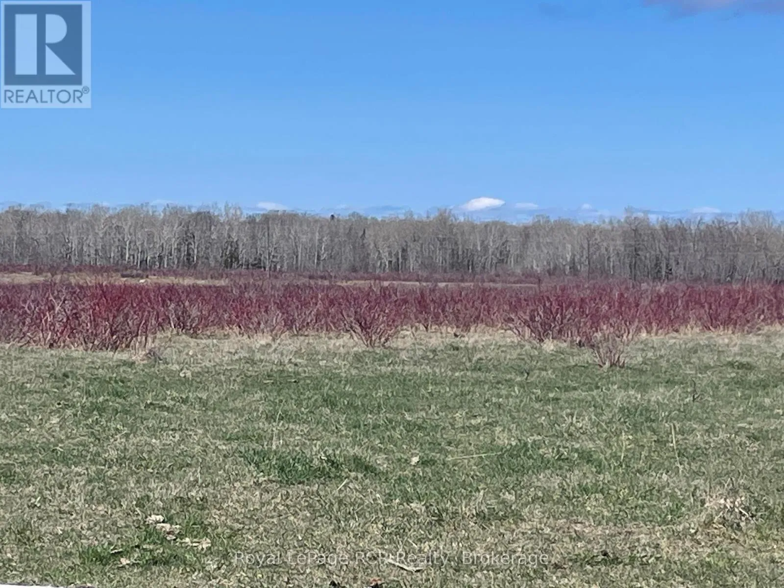 250 Scotch Line Road, Assiginack, Ontario P0P 1W0