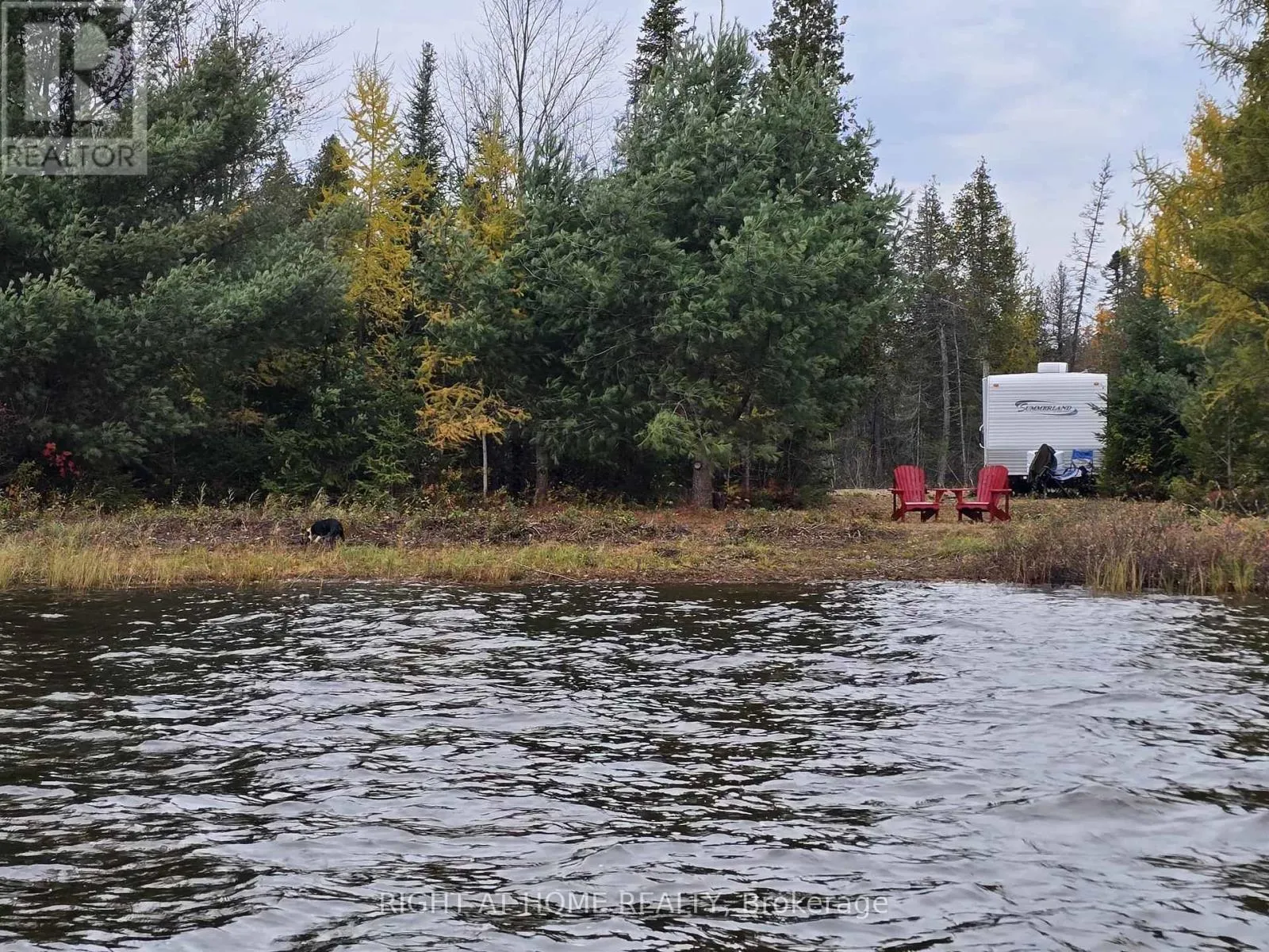 2503 Fern Glen, McMurrich/Monteith, Ontario P0A 1Y0