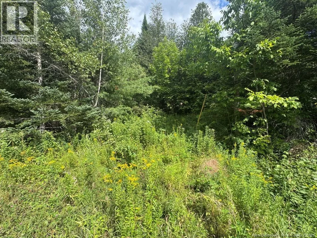 25-2 Route 620, Estey's Bridge, New Brunswick E3A 6K4