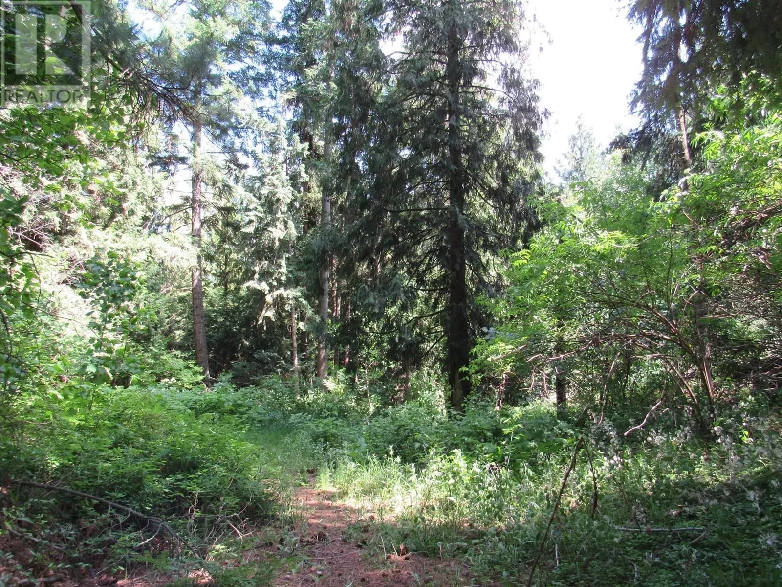 Other for rent: 2532 10th Avenue Unit# Parcel A, Castlegar, British Columbia V1N 3A2