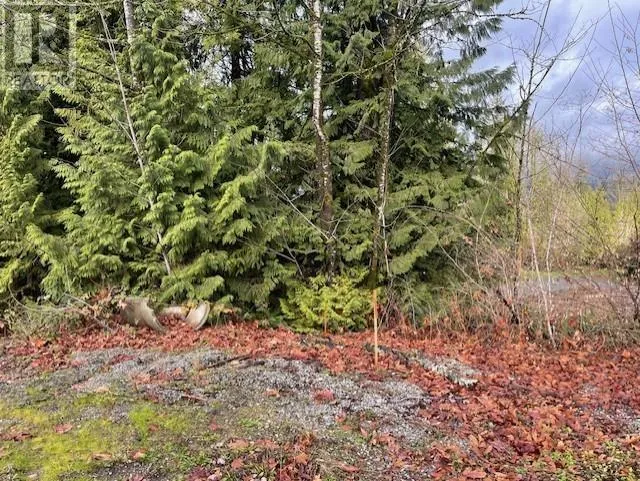 25415 Bosonworth Avenue, Maple Ridge, British Columbia V0V 0V0