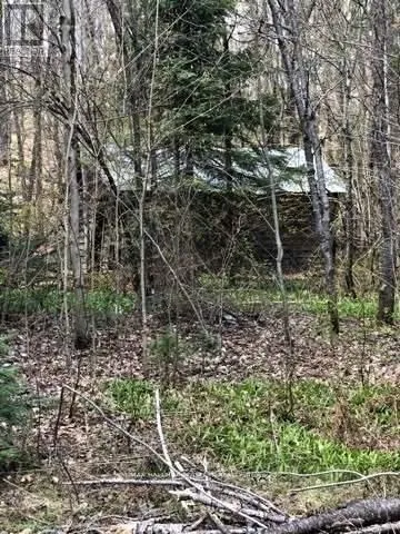 2595 Etwell Road, Huntsville, Ontario P0B 1M0