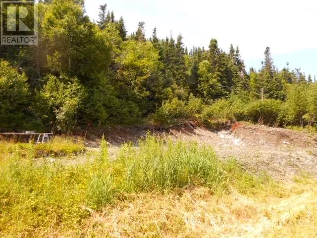 259a Main Street, King's Point, Newfoundland & Labrador A0J 1H0