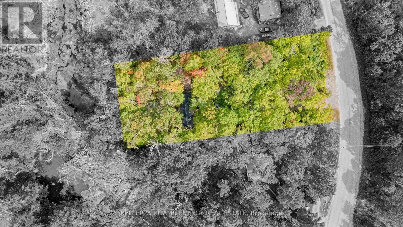 House for rent: 260 Edwina Drive, Trent Lakes, Ontario K0M 1A0