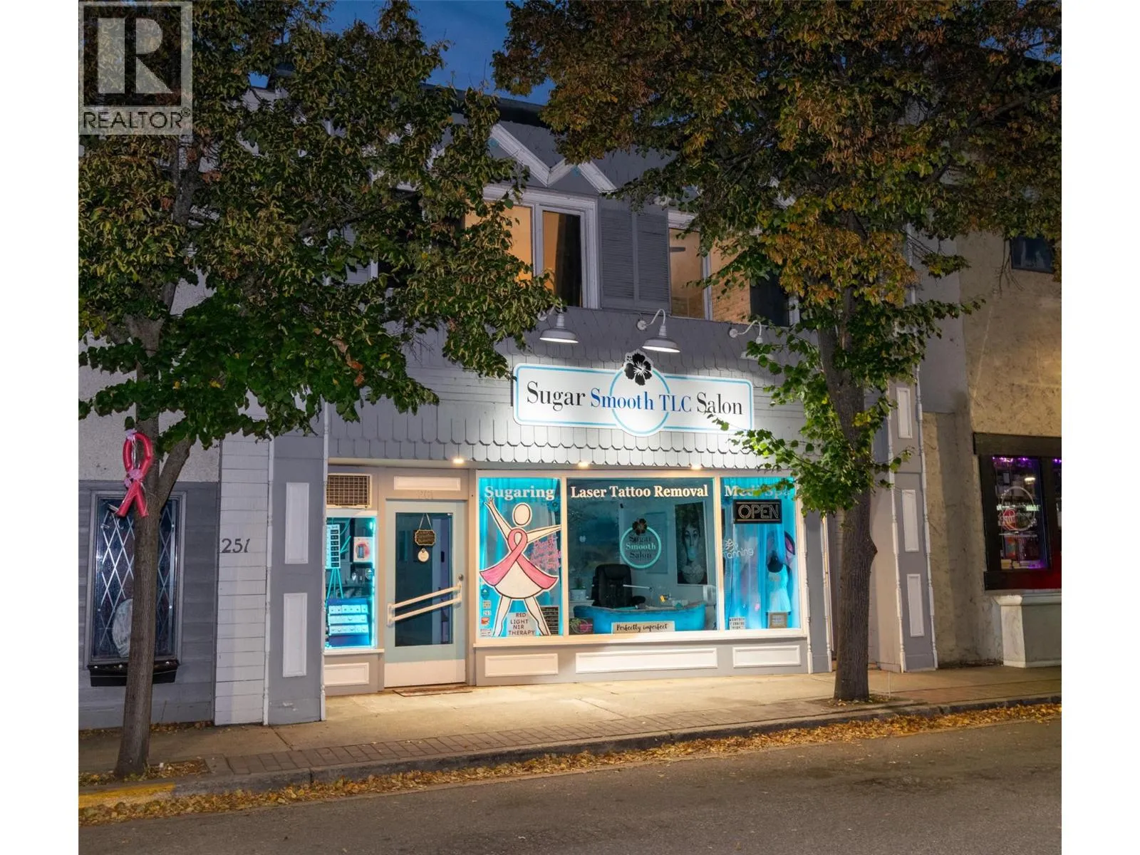 Residential Commercial Mix for rent: 261 Alexander Street Ne, Salmon Arm, British Columbia V1E 4N3