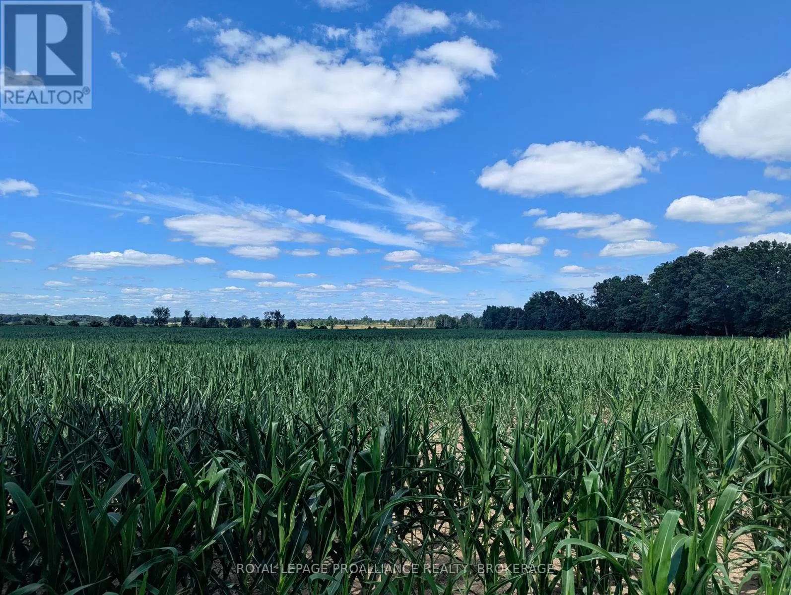 2620 4th Concession Road, Kingston), Ontario K0H 1Y0