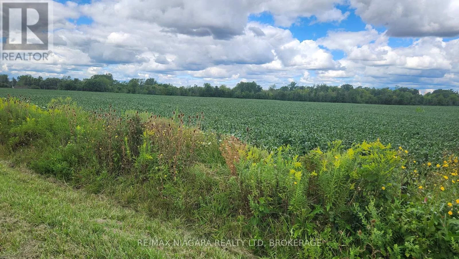 2651 Wessel Drive, Pelham, Ontario L2R 6P7