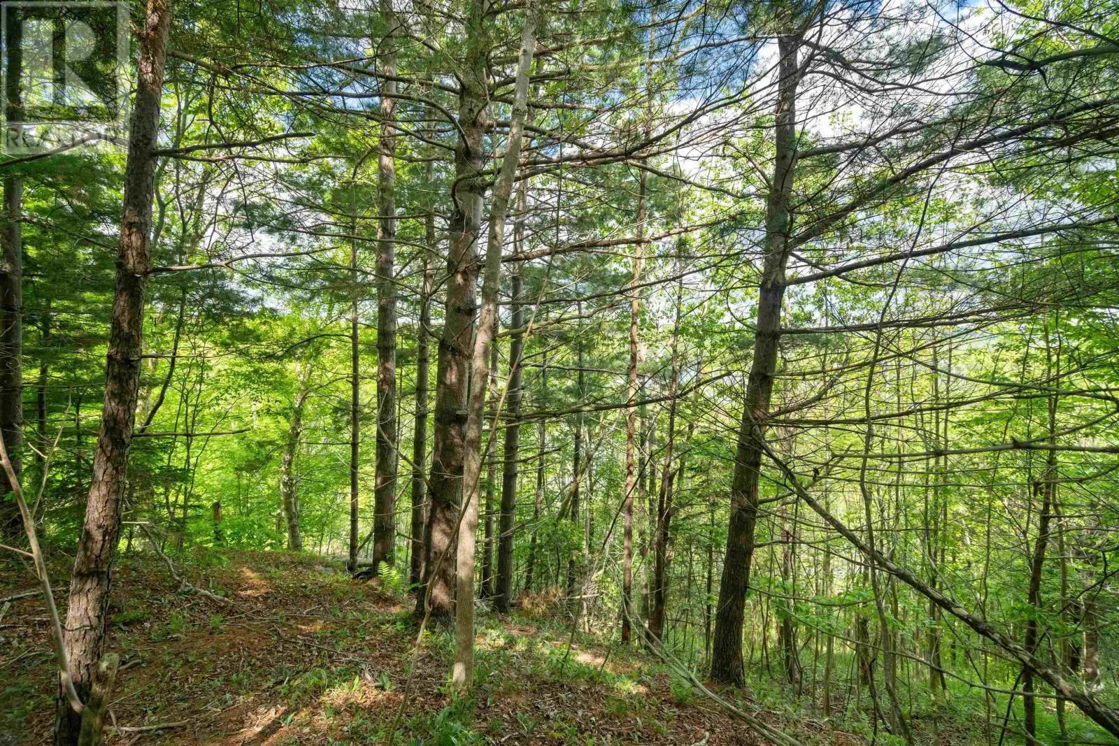 27 Copperhead Road, Fall River, Nova Scotia B2T 1W2