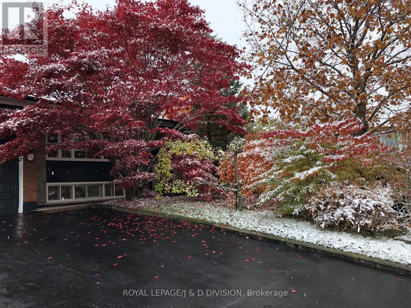 House for rent: 27 Paramount Court, Toronto, Ontario M6M 2L3