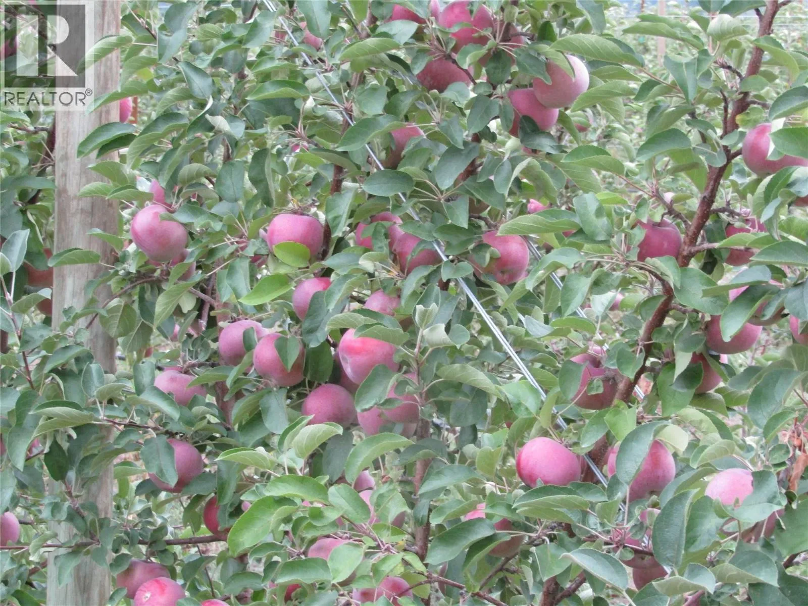 Other for rent: 2705 75th Avenue, Grand Forks, British Columbia V0H 1H2