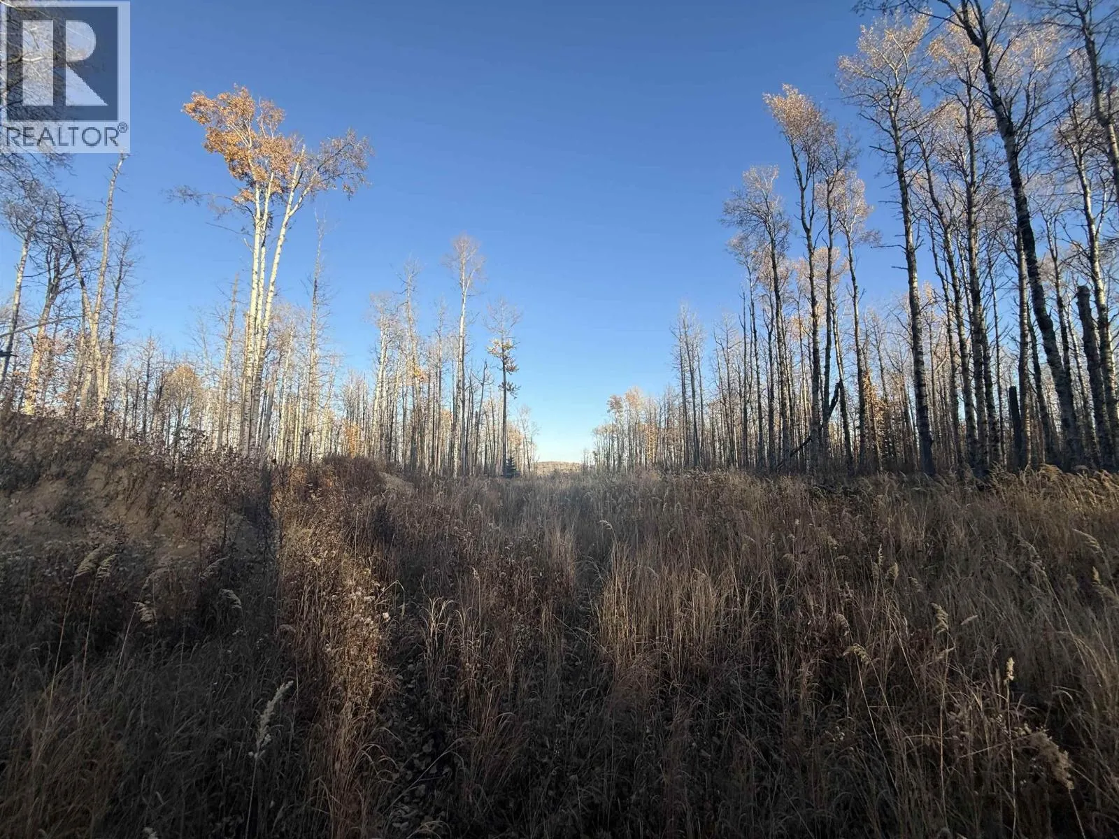 279 Road, Charlie Lake, British Columbia V0C 1H0