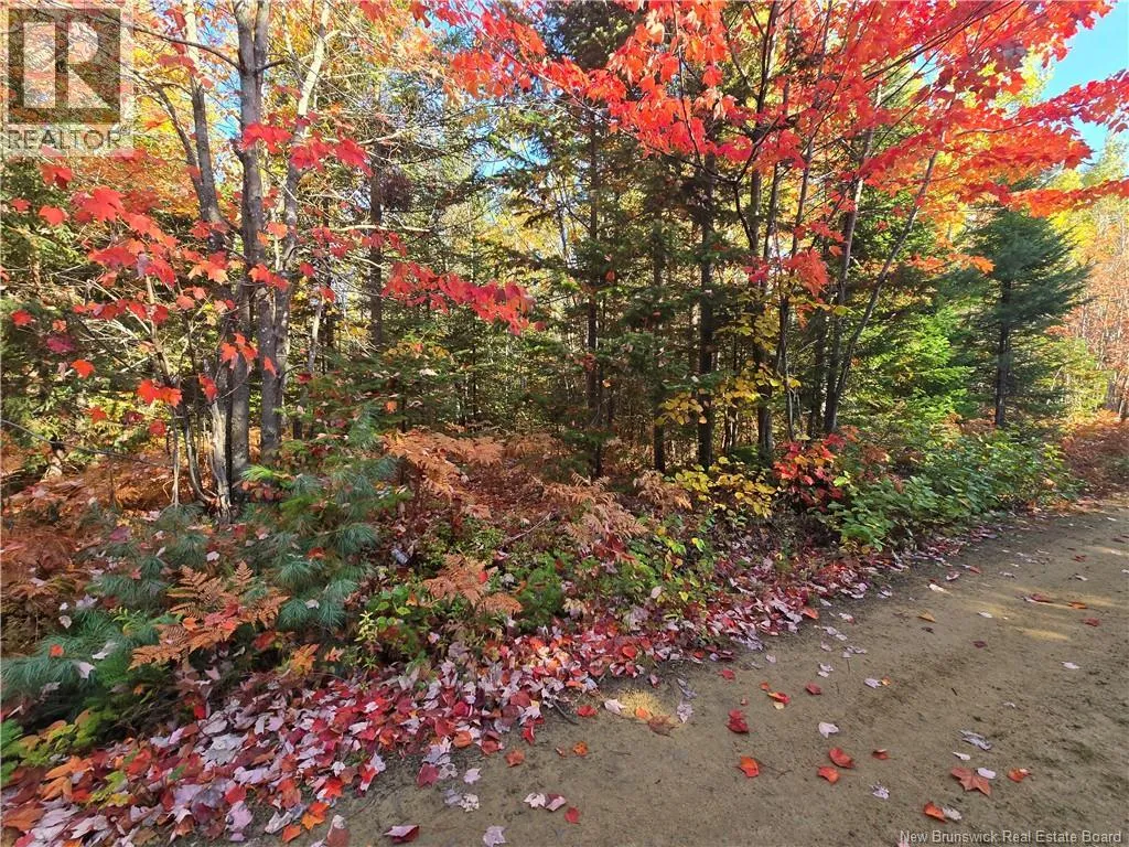 28 Acres Rue Des Fondateurs, Petit-Paquetville, New Brunswick E8R 1B3